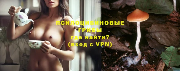 марки nbome Каменка