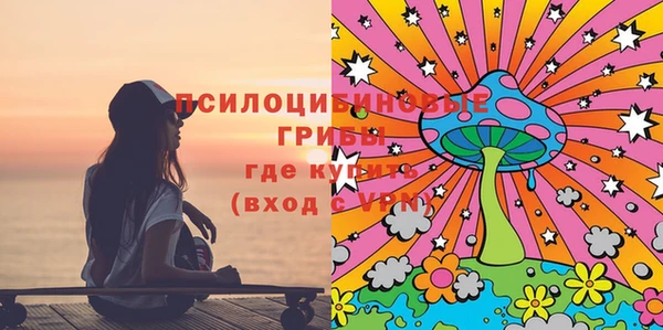 mdma Каменногорск